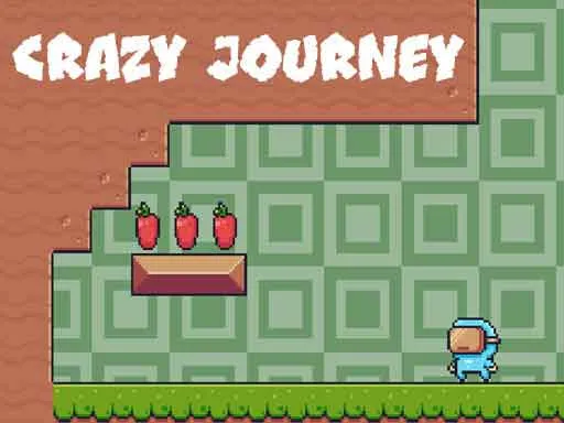 Crazy Journey