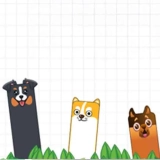 Doge Blocks