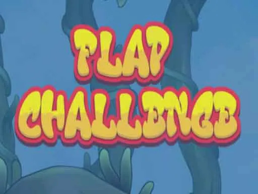 Flap Challenge