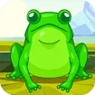 Frog Match Master