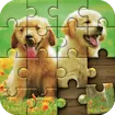 Jigsaw Puzzle