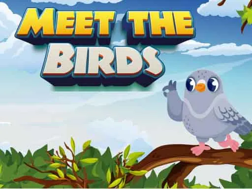 Meet The Birds Game