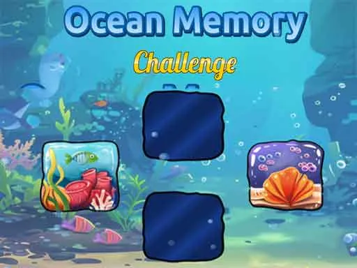 Ocean Memory Challenge